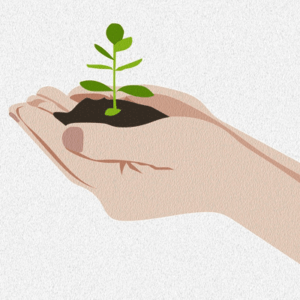 1er Cours Gratuit : Les 7 piliers de la nutrition